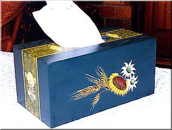 10.tissue-box-1.jpg